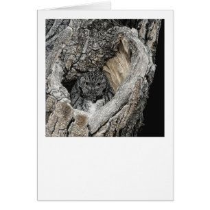 Cartão "Coração de San Pedro" - Coruja da Tela