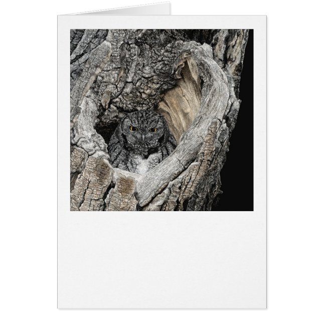 Cartão "Coração de San Pedro" - Coruja da Tela (Frente)