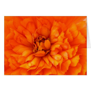 Cartão Coração do ranúnculo