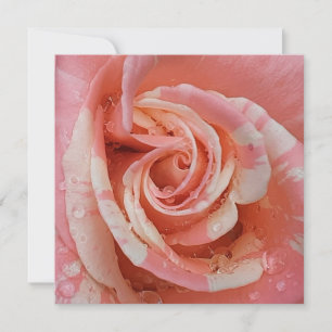 Cartão Coração rosa rosa rosa rosa com colírio