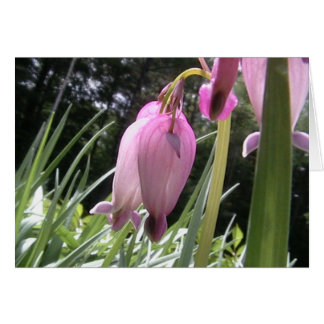 Cartão corações idos selvagens