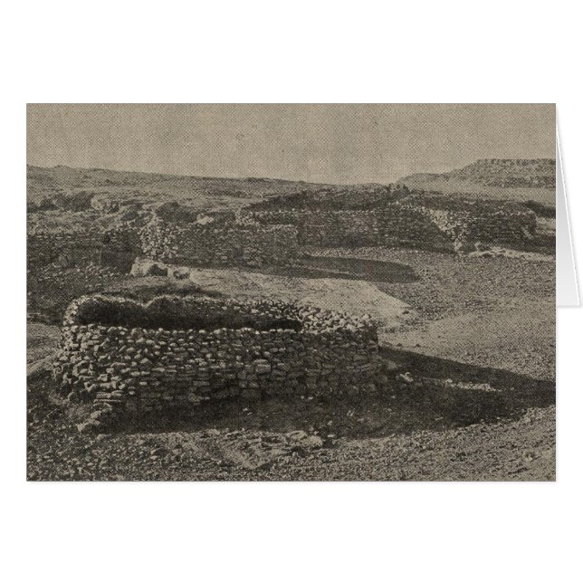 Cartão Corais de pedra (Frente Horizontal)