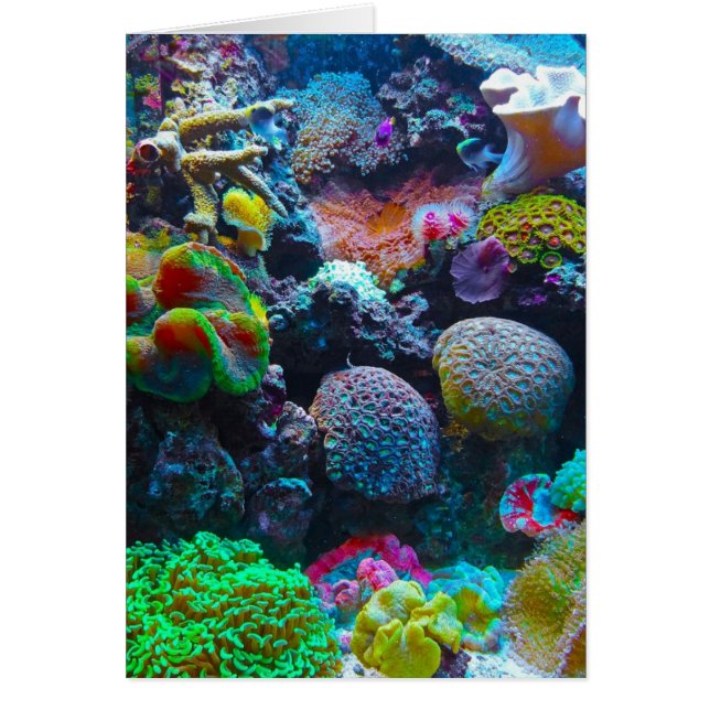 Cartão Coral (Frente)