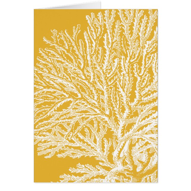 Cartão Coral Amarelo e Branco (Frente)