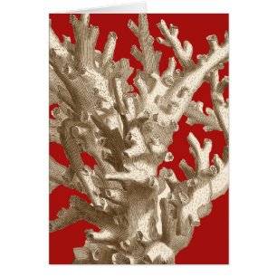 Cartão Coral pequeno em vermelho