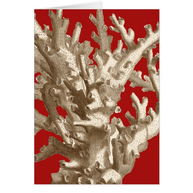 Cartão Coral pequeno em vermelho (Frente)