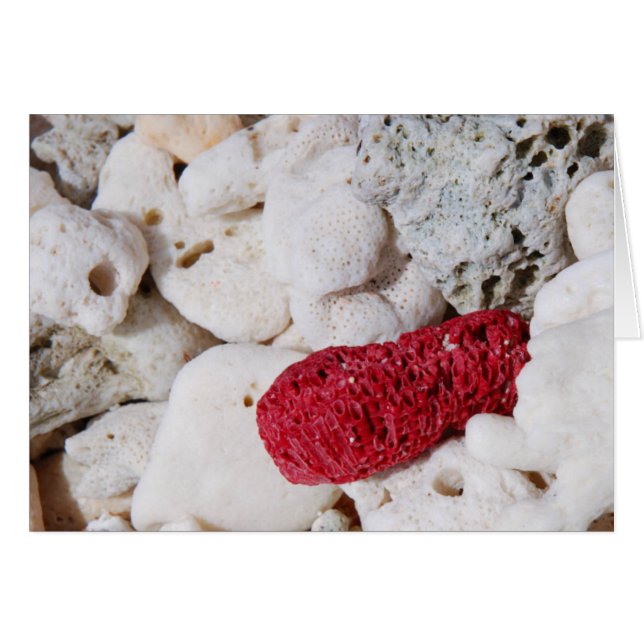 Cartão Coral Rosa (Frente Horizontal)