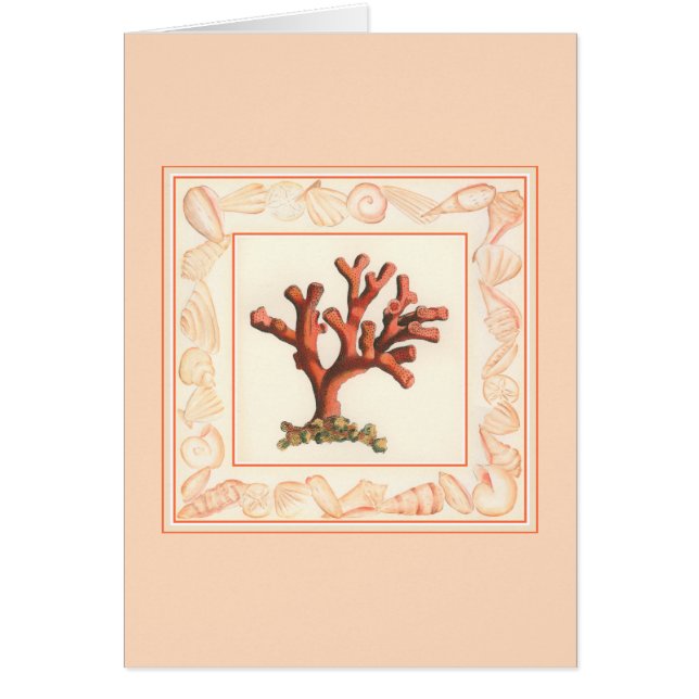 Cartão Coral Vermelho com Borda Conch Shell (Frente)