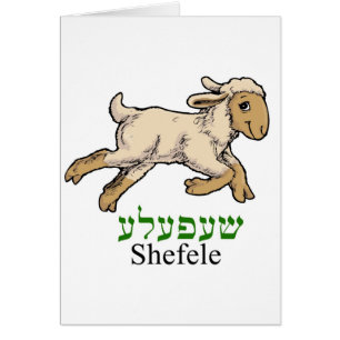 Cartão Cordeiro pequeno de "Shefeleh" -