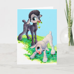 Cartão cordeiro preto cordeiro branco