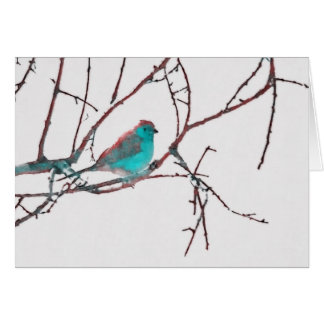 Cartão Cordon bleu Waxbill