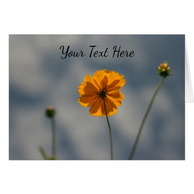 Cartão Coreopse Amarela (Frente Horizontal)