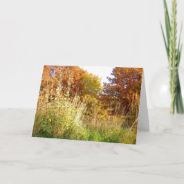 Cartão Cores da queda na carta patente Oak Park, Peoria,