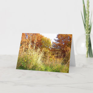 Cartão Cores da queda na carta patente Oak Park, Peoria,