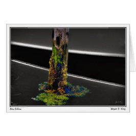 Cartão Cores de pier