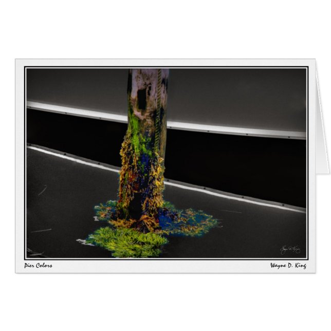 Cartão Cores de pier (Frente Horizontal)