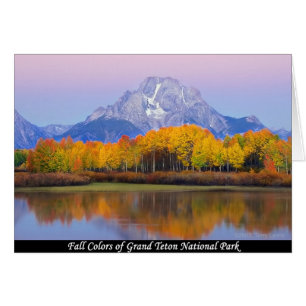Cartão Cores De Queda Do Parque Nacional De Grand Teton