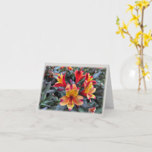 Cartão Cores do verão