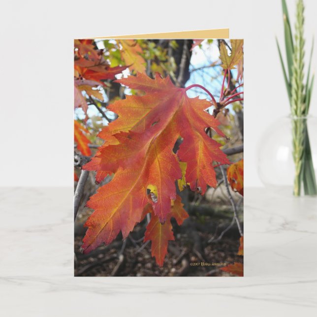 Cartão Cores verdadeiras (Frente)