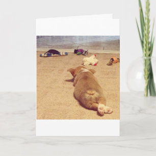 Cartão Corgi Birthday card