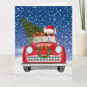 Cartão Corgi Cachorro Dirigindo Carro Na Neve Natal