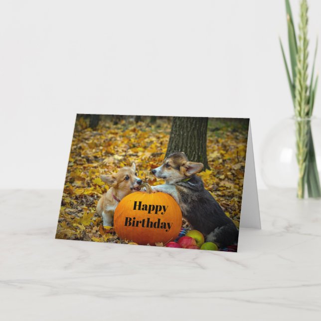 Cartão Corgi Dog Pumpkin Autumn Photo Birthday (Frente)
