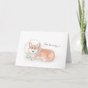 Cartão Corgi get well soon card