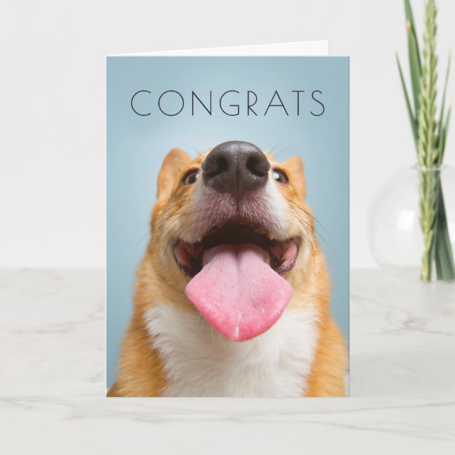 Cartão Corgi muito feliz das imagens | de Getty (Frente)