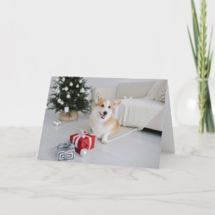 Cartão Corgi Pembroke Welsh Dog Saudação de Natal