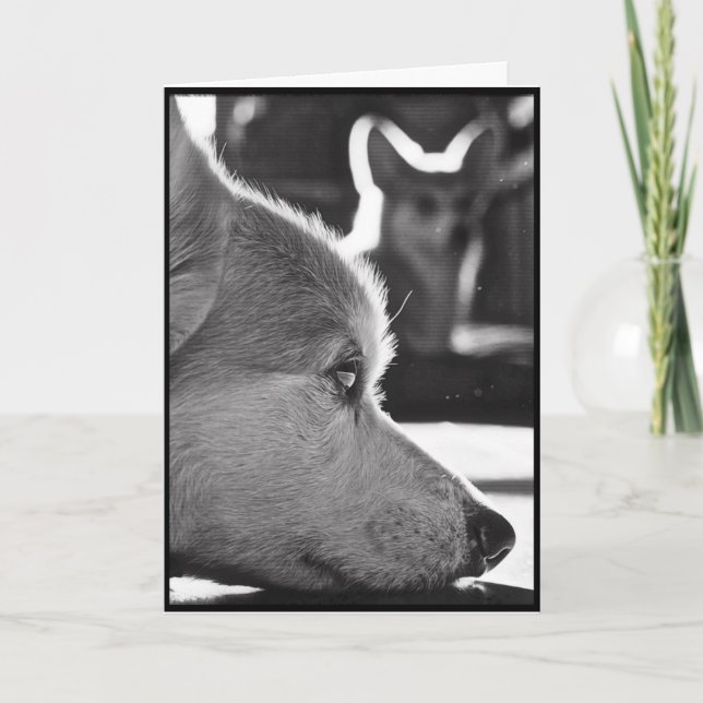 Cartão Corgi que falta o (Frente)