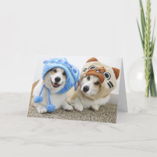 Cartão Corgis in Hats Folded Greeting Card