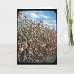 Cartão Corn Field TTV