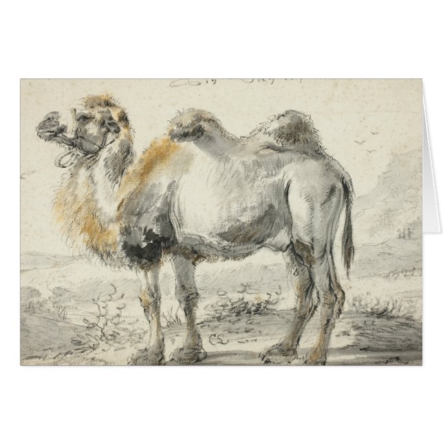 Cartão Cornelis Saftleven - A Camel (Frente Horizontal)