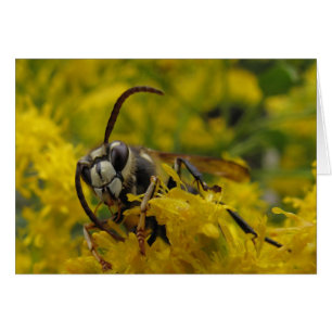 Cartão Corneta De Fato Bald