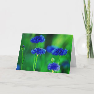 Cartão Cornflowers greeting card