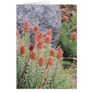 Cartão Coroa do Queens