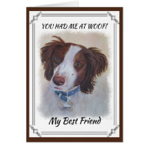 CORREÇÃO DO SETOR DE AUBURN STATELY