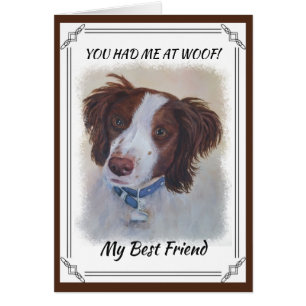 CARTÃO CORREÇÃO DO SETOR DE AUBURN STATELY