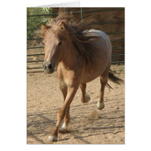 Cartão Corredor de Kota