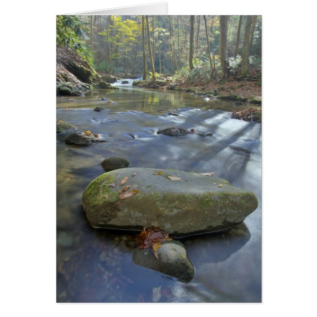 Cartão Córrego da queda (Frente)