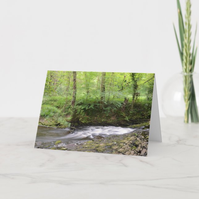 Cartão Córrego inglês da floresta (Frente)