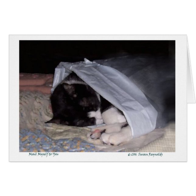 Cartão Correio eu mesmo a você (Frente Horizontal)