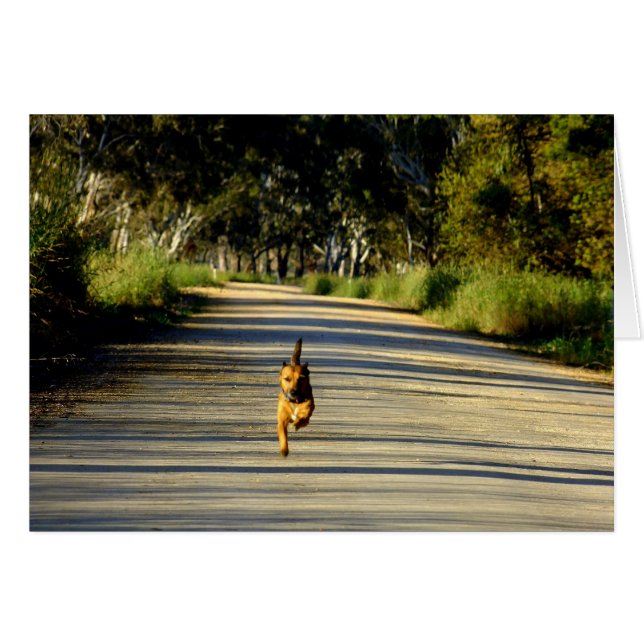 Cartão Correndo para você! (Frente Horizontal)