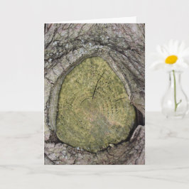 Cartão Cortar ramificação da árvore Fechar