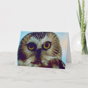 Cartão Coruja-branca-norte