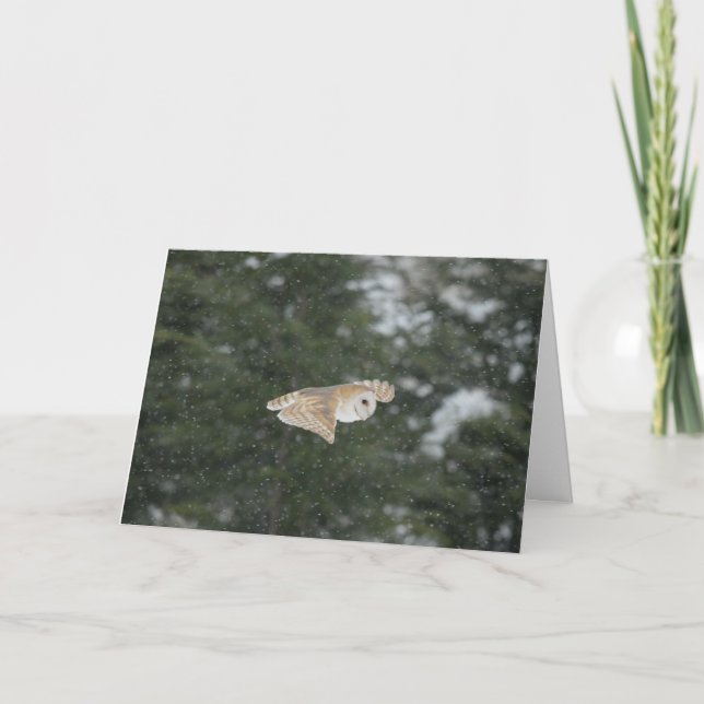 Cartão Coruja-de-barão voando na neve (Frente)