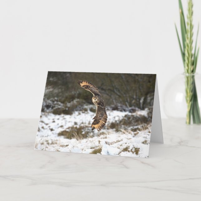 Cartão Coruja de Eagle em vôo (Frente)