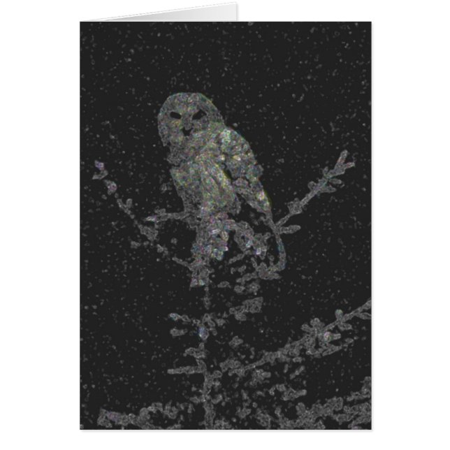 Cartão Coruja de noite (Frente)