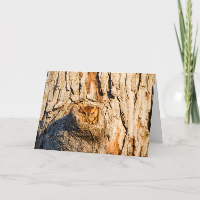 Cartão Coruja Oriental (Frente)