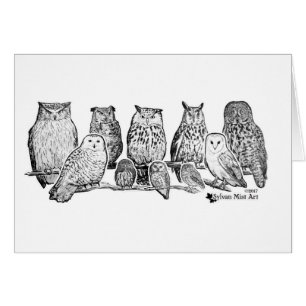 Cartão Corujas